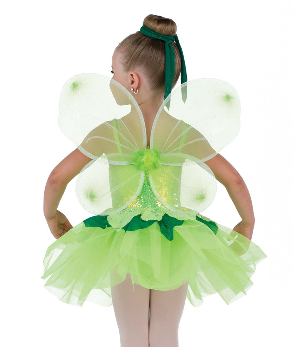 25062Y I Believe In Fairies