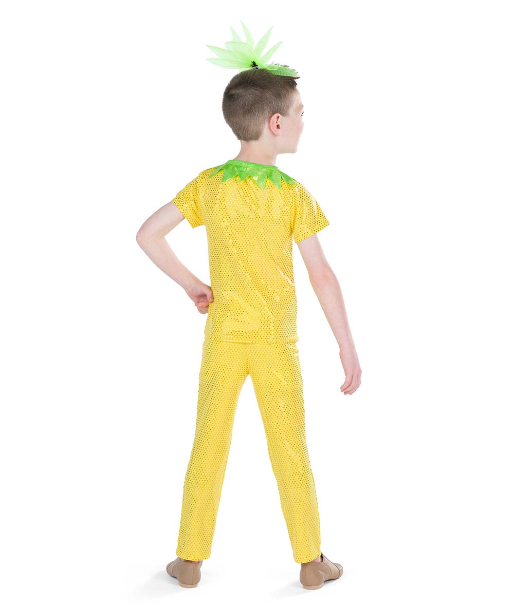 26187 Pineapple Prince