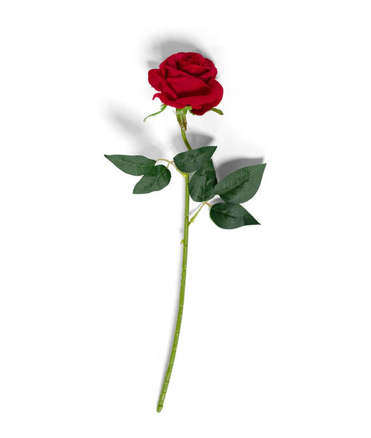24155A Red Rose