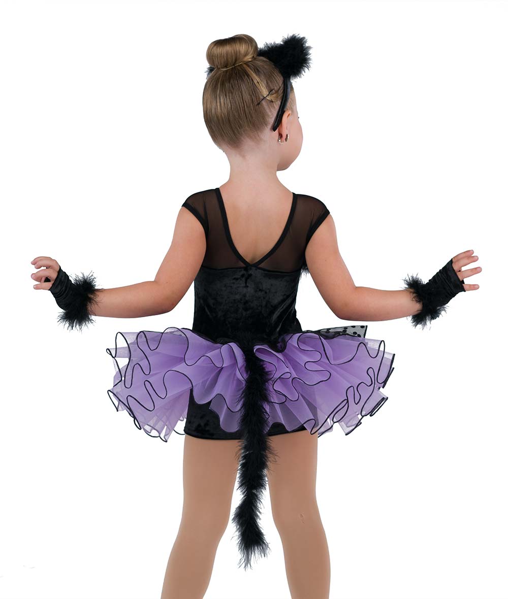 25064 Jellicle Cat