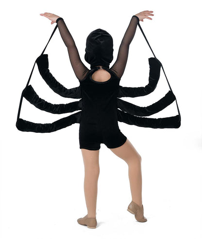 25363 Spiderwebs