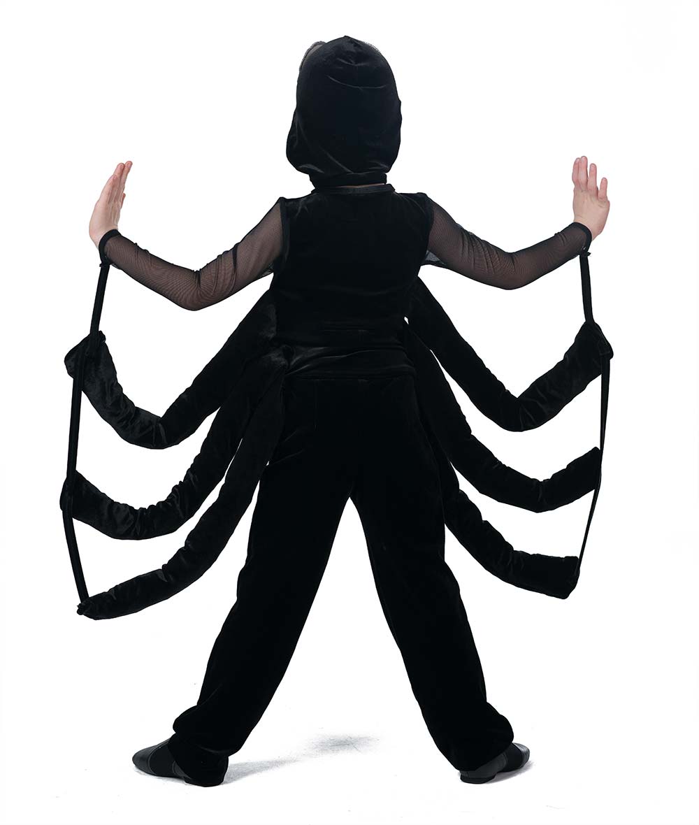 25364 Spiderwebs Guy