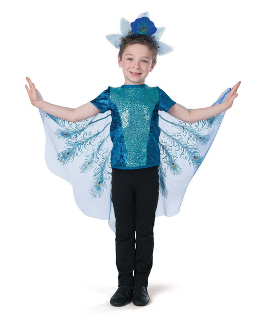 25375 Peacock Sing Guy Top