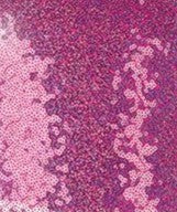 25409 Elite Sequin Guy Top