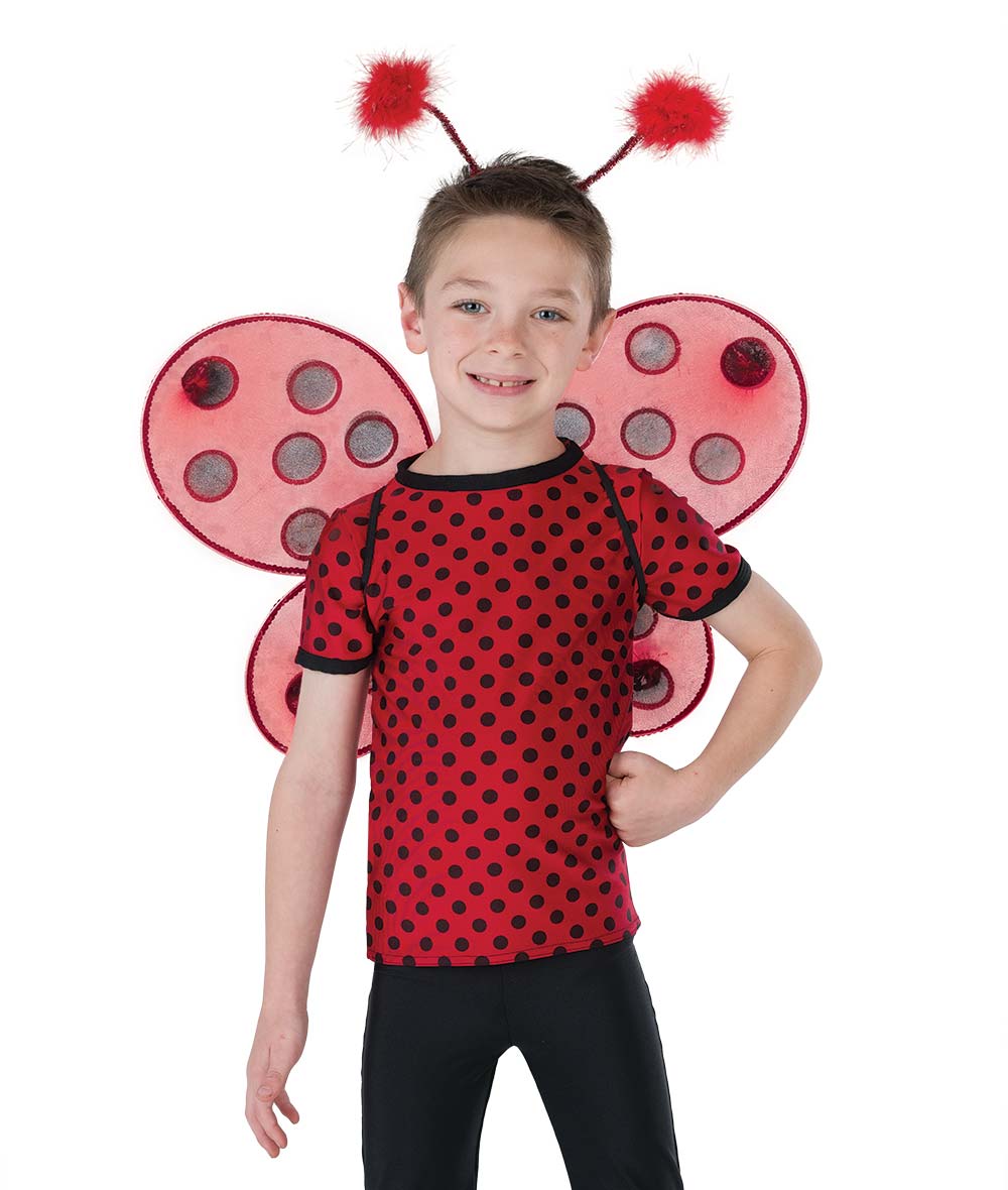 26051 You Are Ladybug Boy