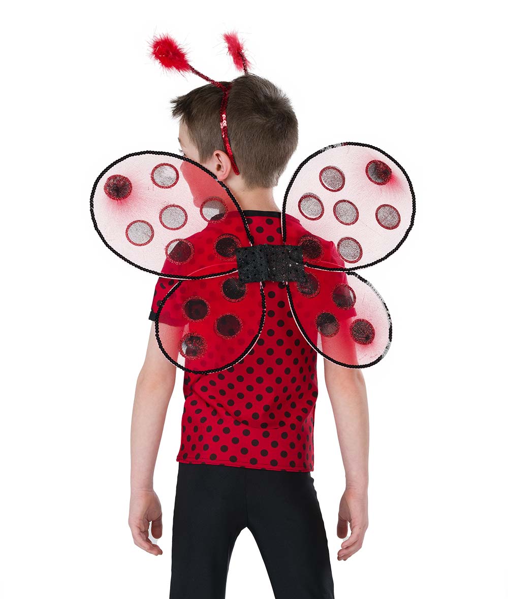 26051 You Are Ladybug Boy