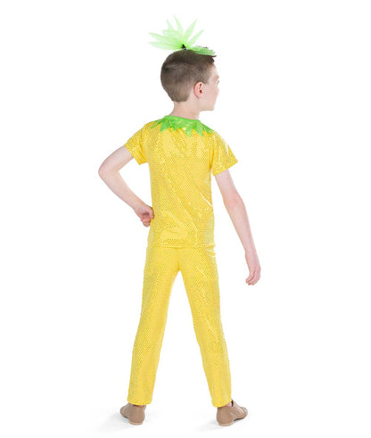 26187 Pineapple Prince
