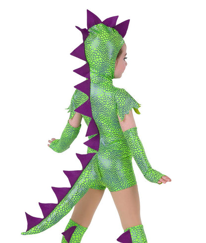 26195 Dinosaurs Go Rawr