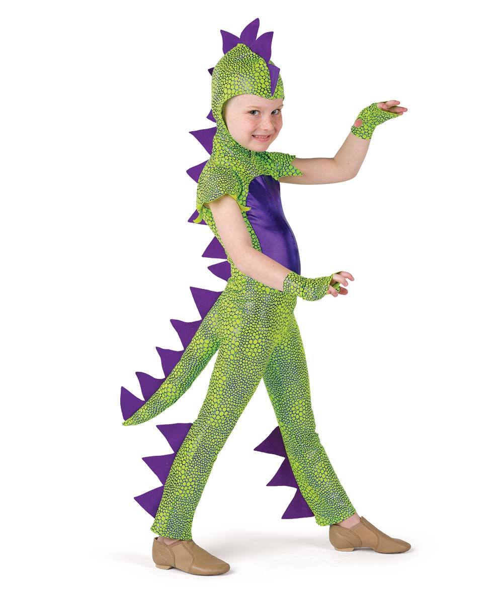 26196 Dinosaurs Go Rawr Boy