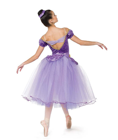 26310 Princess Diaries