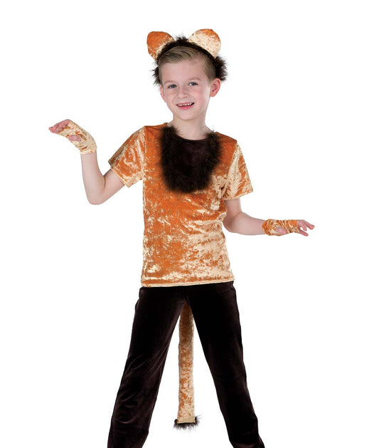 26372 Nala Boy Top